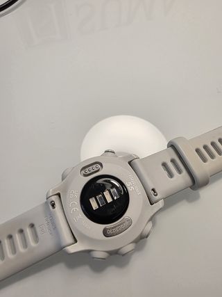 Garmin Forerunner 55 Gris/Blanco