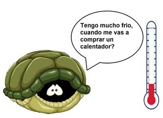 calentador tortuga acuario terrario termostato