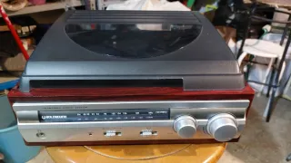 Giradischi con Radio FM modello TT182W.