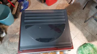 Giradischi con Radio FM modello TT182W.