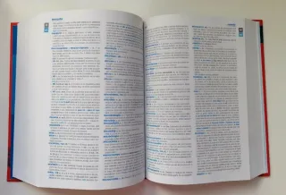 Diccionario lengua española Secundaria y Bachiller