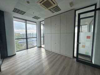 Oficina en alquiler en Triana Oeste en Sevilla