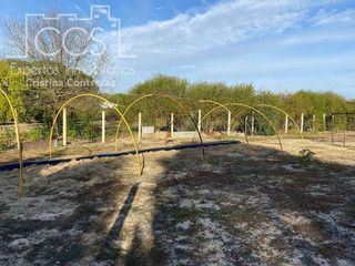 Casa rural en venta en Almonte en Almonte