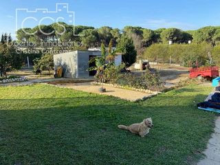 Casa rural en venta en Almonte en Almonte