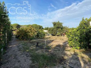 Casa rural en venta en Almonte en Almonte