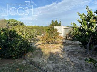 Casa rural en venta en Almonte en Almonte