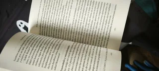 Educar En El Feminismo