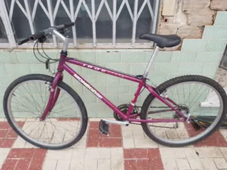 Bicicleta de Montaña Morada