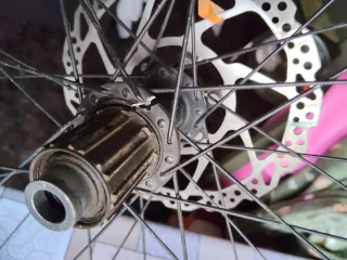 Ruedas Bicicleta 29 Disco