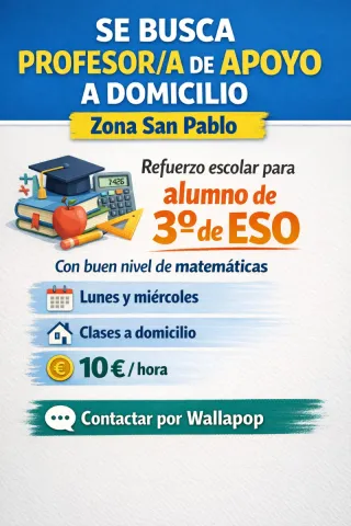 SE BUSCA PROFESOR/A DE APOYO A DOMICILIO