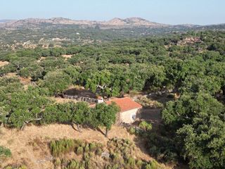 Terreno en venta en San Vicente de Alcántara