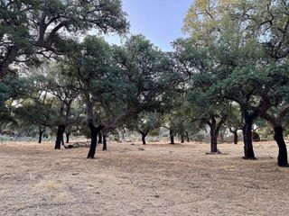 Terreno en venta en San Vicente de Alcántara