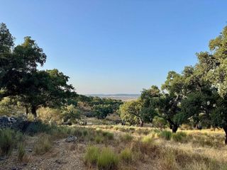 Terreno en venta en San Vicente de Alcántara