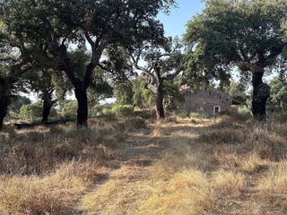 Terreno en venta en San Vicente de Alcántara