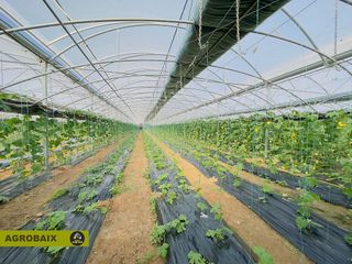 Terreno en venta en Vinyets - Molí Vell en Sant Boi de Llobregat