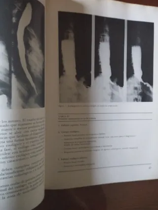 Libro antiguo de medicina aparato digestivo