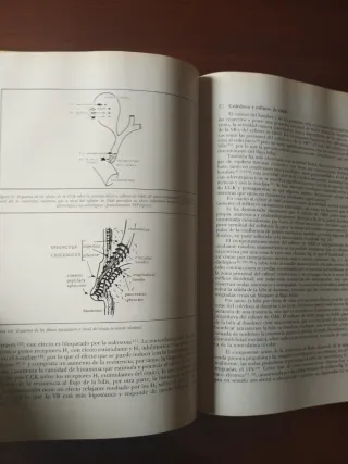 Libro antiguo de medicina aparato digestivo