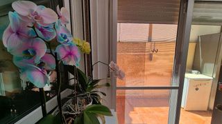 Casa adosada en venta en Nueva Torrevieja - Aguas Nuevas en Torrevieja