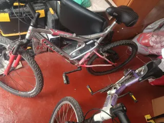 2 Bicicletas Montaña