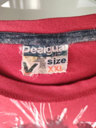 Pantalón corto+ camiseta manga larga Desigual
