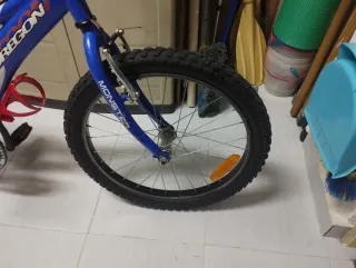 Bicicleta BH Oregon 20 Monster