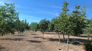 Terreno en venta en Santa María en Ciudad Real