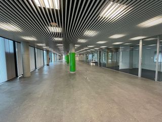 Oficina en alquiler en Bellvitge en Hospitalet de Llobregat, L´