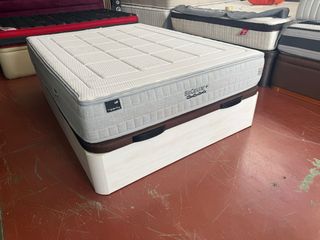 CANAPE Y COLCHON INGRAVITY BIOCELULAR VISCO135x190