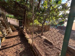 Chalet/casa independiente 950m2