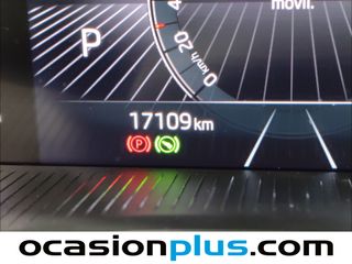 Skoda Kamiq 1.0 TSI Design DSG 85 kW (115 CV)