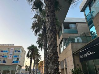 Piso en venta en La Patacona en Alboraya