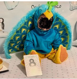 Disfraz Pavo Real Bebé 8/12 Meses