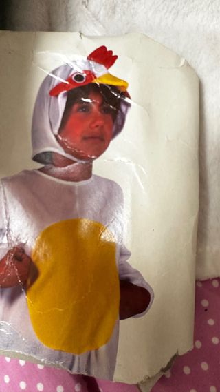 Disfraz Gallina Talla 2-3