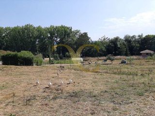 Solar en venta en Noreña