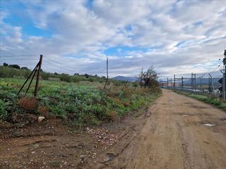 Terreno en venta en Plasencia