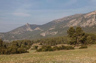 Terreno en venta en Mula