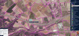 Viñedos viejos en Toro