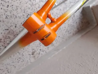 Cuadro BLOONDIN talla 54