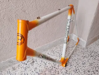 Cuadro BLOONDIN talla 54