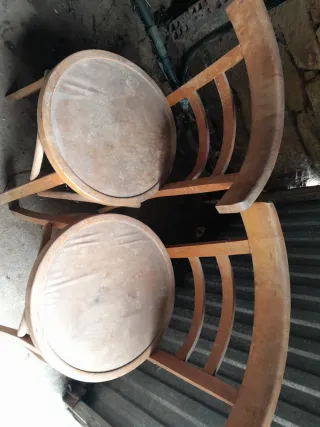 Sedie in legno stile Thonet