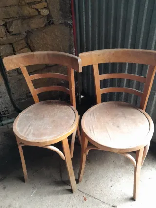 Sedie in legno stile Thonet