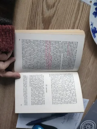 Cárcel de Amor - Diego de San Pedro