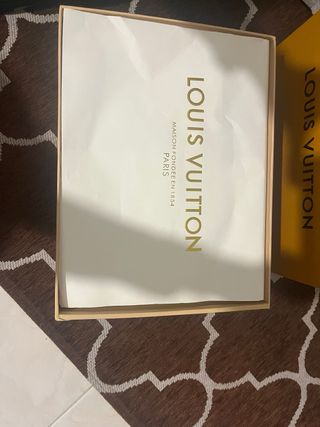 Louis Vuitton Skate Scarpe Uomo