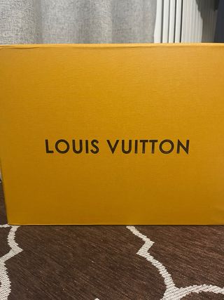 Louis Vuitton Skate Scarpe Uomo