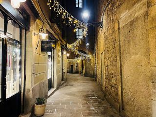 Local comercial en alquiler en El Gòtic en Barcelona