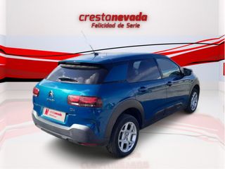 C4 Cactus - DESDE 173€ ¡SIN PAGAR ENTRADA!