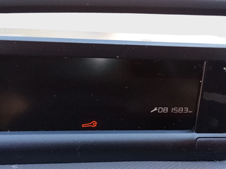 C4 Cactus - DESDE 173€ ¡SIN PAGAR ENTRADA!