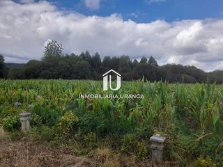 Chalet en venta en Bárcena de Cicero