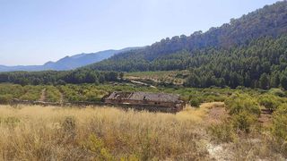 Casa rural en venta en Mula