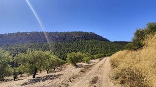 Casa rural en venta en Mula